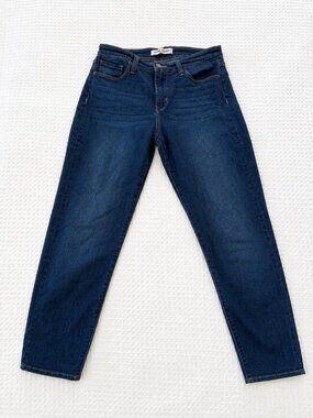 Flying Monkey Platinum Jeans Size 28 Blue Stretch Denim